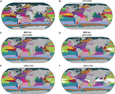 Climate Change-Induced Emergence of Novel Biogeochemical Provinces